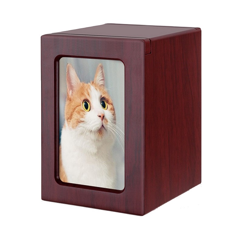 katten urn met photo